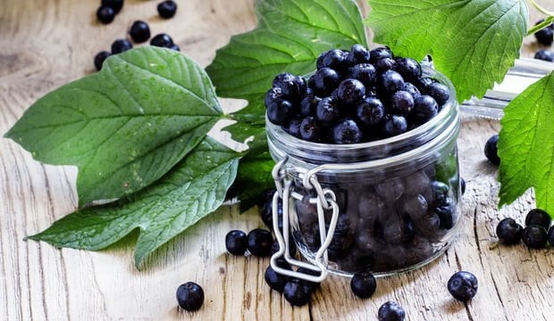 Vücuttaki iltihabı söküp atıyor - 2
