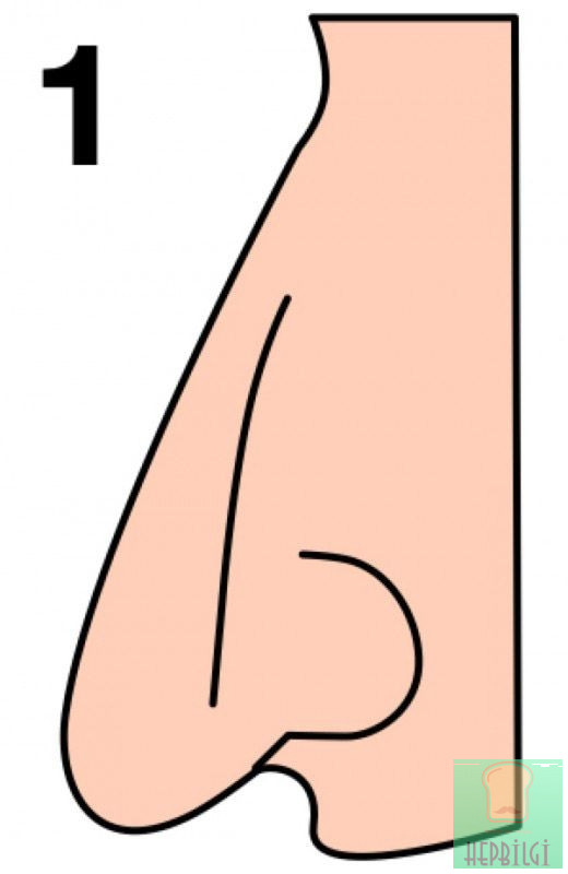 Burun Şekliniz Karakterinizi Ele Veriyor - 2