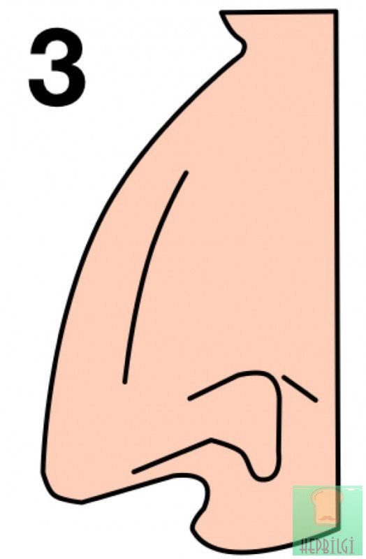 Burun Şekliniz Karakterinizi Ele Veriyor - 4