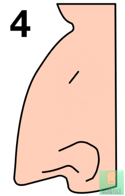 Burun Şekliniz Karakterinizi Ele Veriyor - 5