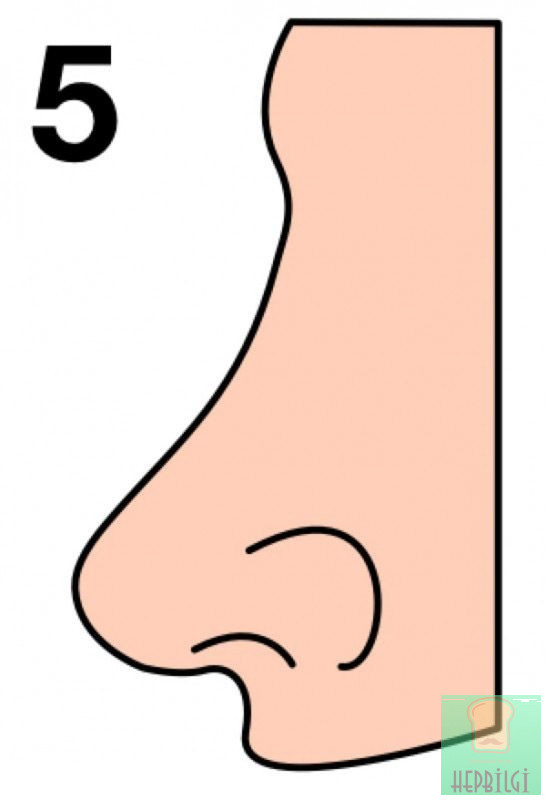 Burun Şekliniz Karakterinizi Ele Veriyor - 6