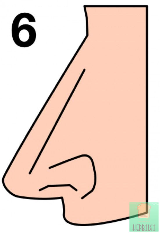 Burun Şekliniz Karakterinizi Ele Veriyor - 7