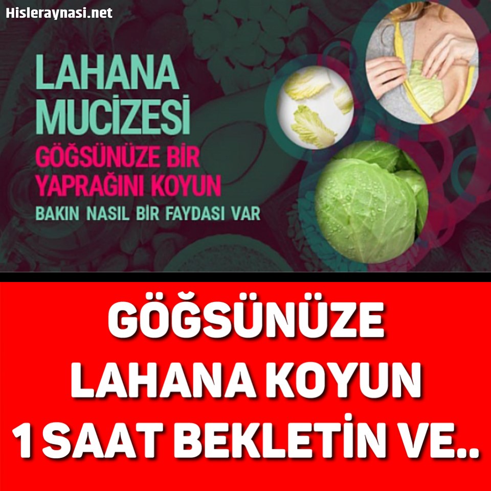 GÖĞSÜNÜZE LAHANA KOYUN 1 SAAT BEKLETİN  - 1