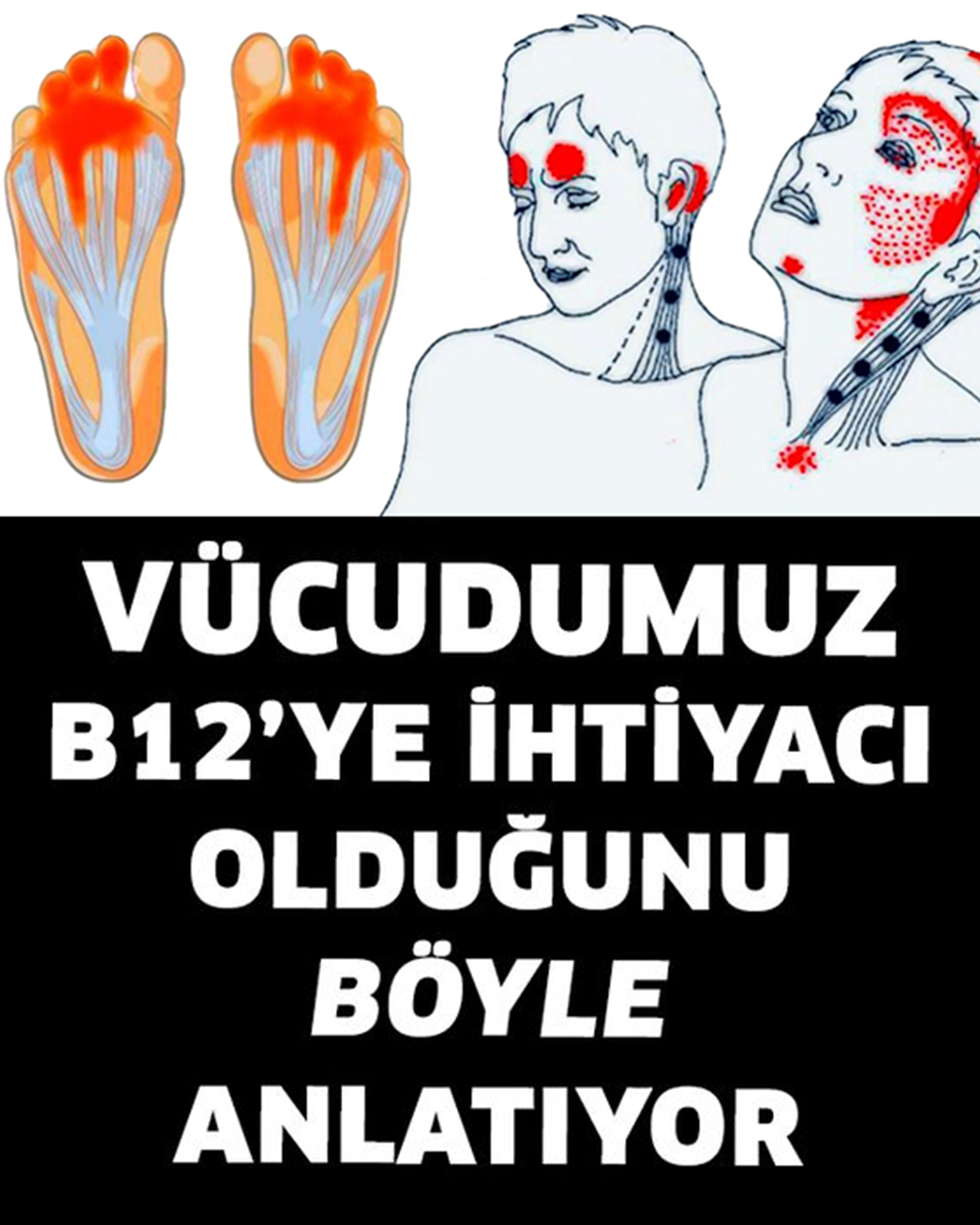 Vücudumuz B12’ye İhtiyacı Olduğunu Böyle Anlatır - 1