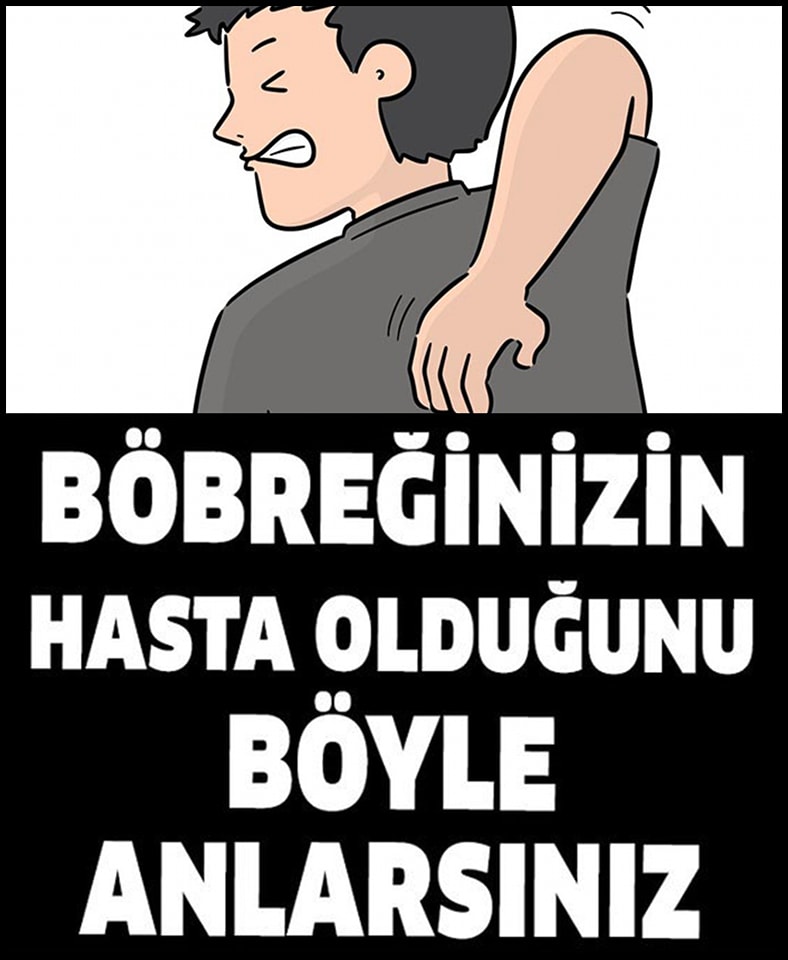 Böbreklerinizin Hasta Olduğunu Gösteren İşaretler - 1