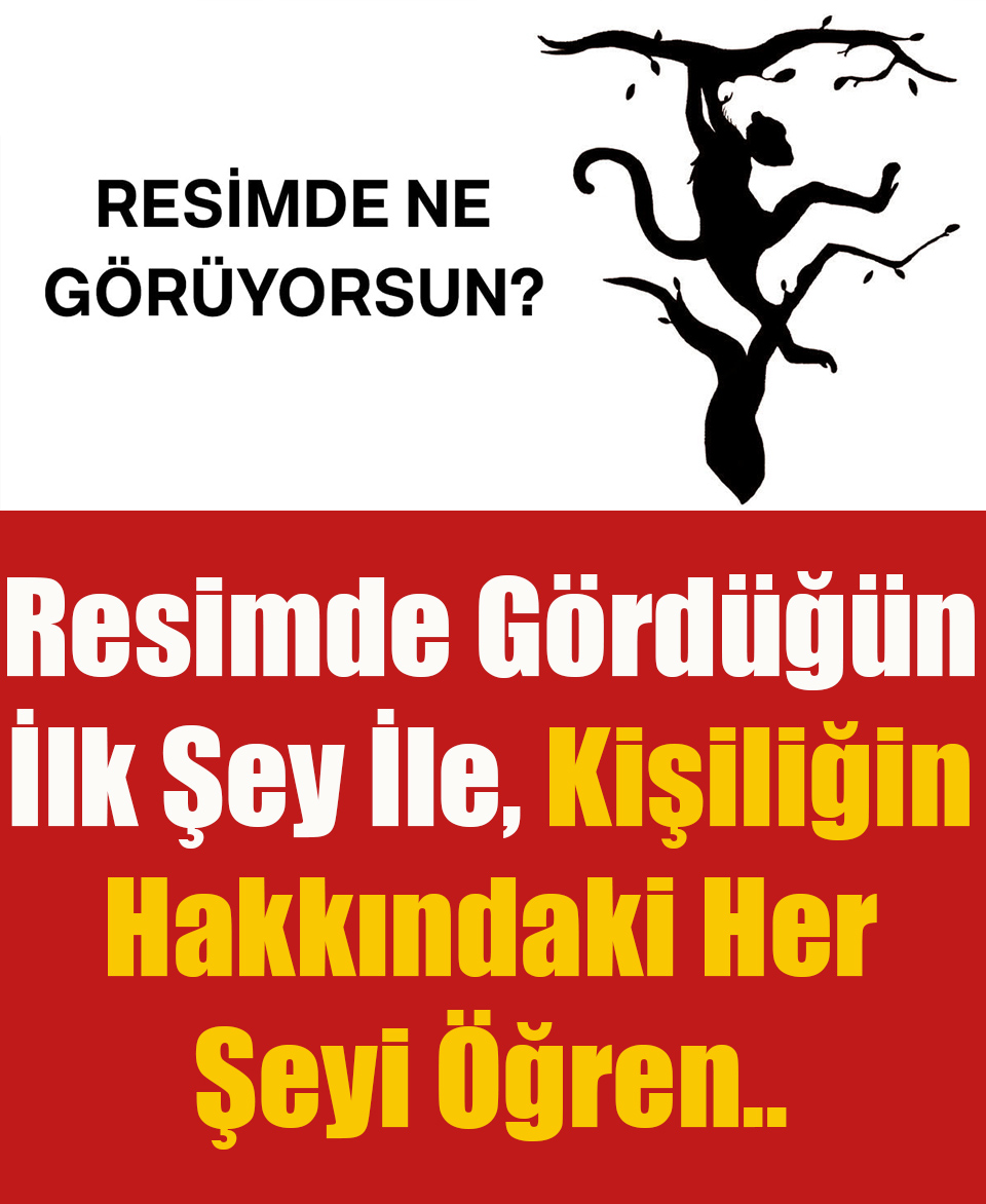 Resimde Gördüğün İlk Şey İle  Kişiliğin Hakkındaki Her Şeyi Öğren - 1