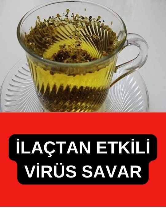 İlaçtan etkili virüs savar - 1
