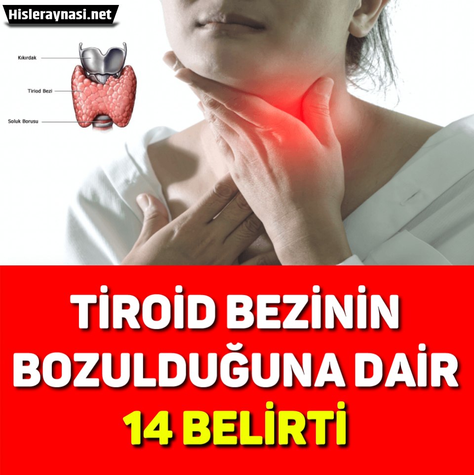 TİROİD BEZİNİN BOZULDUĞUNA DAİR 14 BELİRTİ - 1