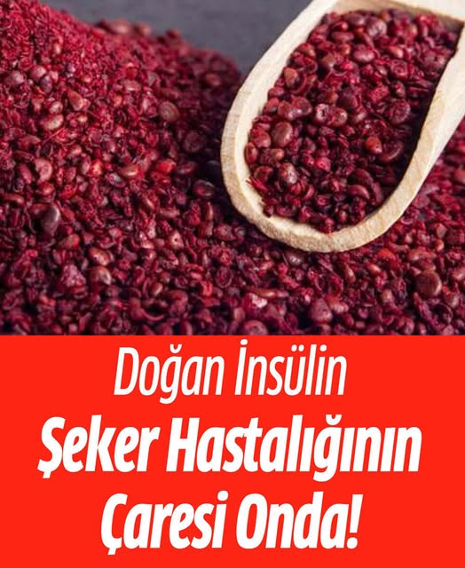 Şeker Hastalığının Çaresi Onda  - 1