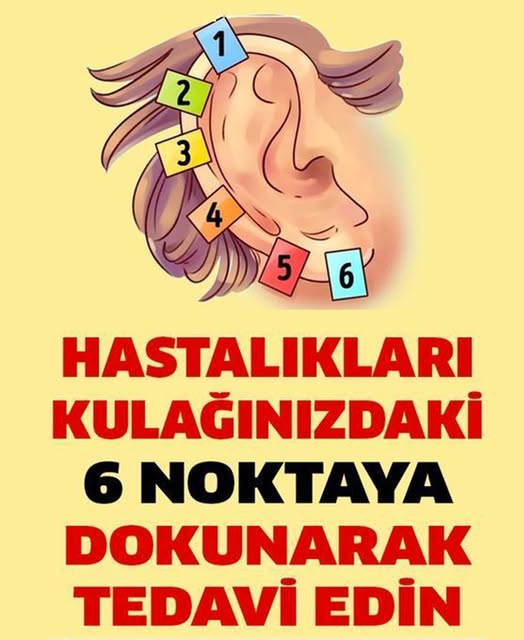 Hastalıkları Kulağınızdaki 6 Noktadan Tedavi Etmek Mümkün - 1