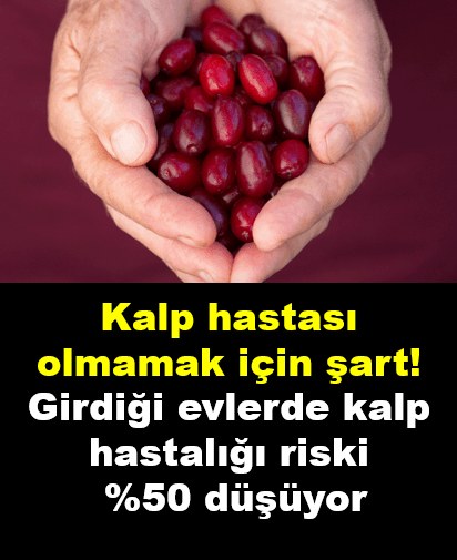 Girdiği evlerde kalp hastalığı riski %50 düşüyor - 1