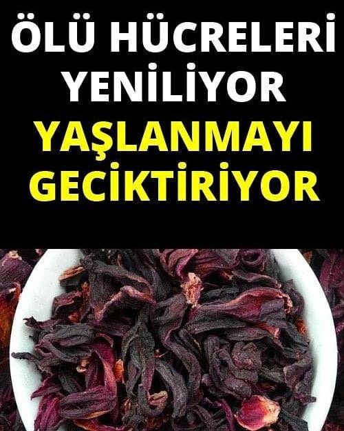 Yaşlanmayı Geciktiriyor, Ölü Hücreleri Yeniliyor ve Zayıflatıyor - 1