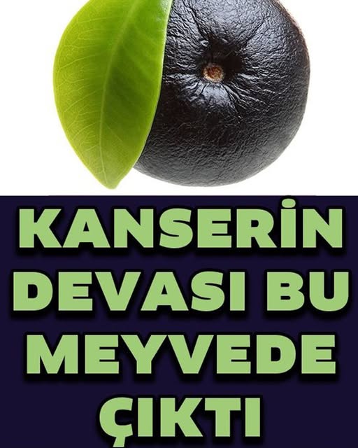 Kanserli Hücrelere Saldırıp Yok Ediyor - 1
