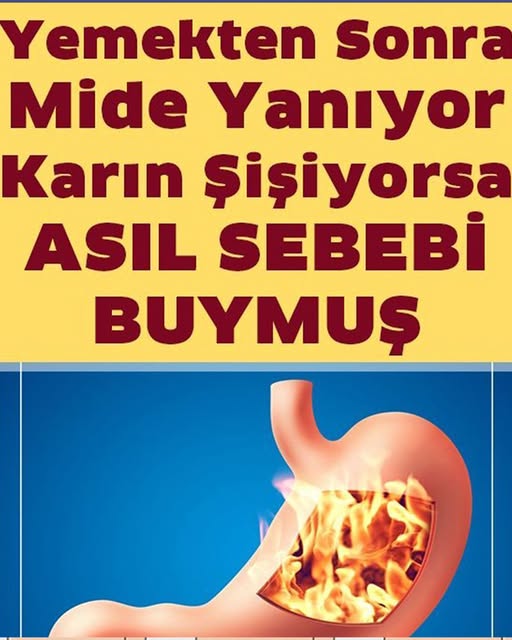 Mide Şişkinliği Ve Hazımsızlığın Asıl Sebebi	 - 1