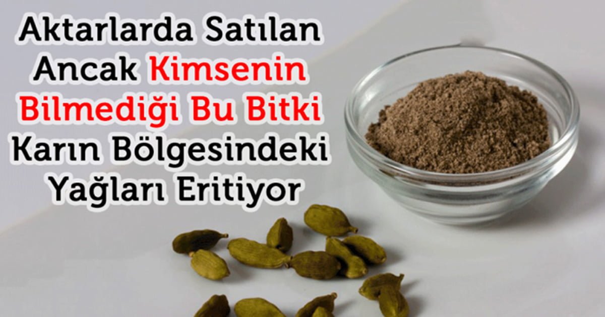 Bu Bitki Karın Bölgesindeki Yağları Eritiyor - 2