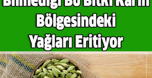 Bu Bitki Karın Bölgesindeki Yağları Eritiyor