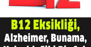 B12 Vitamini Bolca Kapsayan Yiyecekler