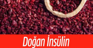 Şeker Hastalığının Çaresi Onda 
