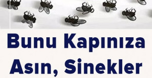 Ne Sinek Ne Böcek Evinizin Eşiğine Yaklaşamayacak
