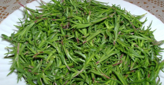 Hücreyi etkisiz kılan mucize baharat