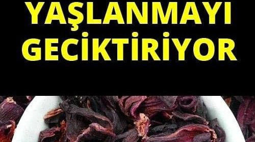 Yaşlanmayı Geciktiriyor, Ölü Hücreleri Yeniliyor ve Zayıflatıyor