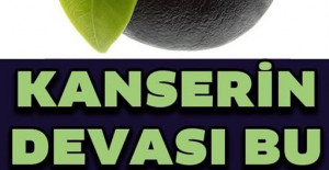 Kanserli Hücrelere Saldırıp Yok Ediyor