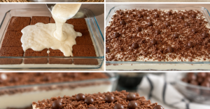 10 Dakikada 4 Malzemeli Sütlü İrmik Tatlısı