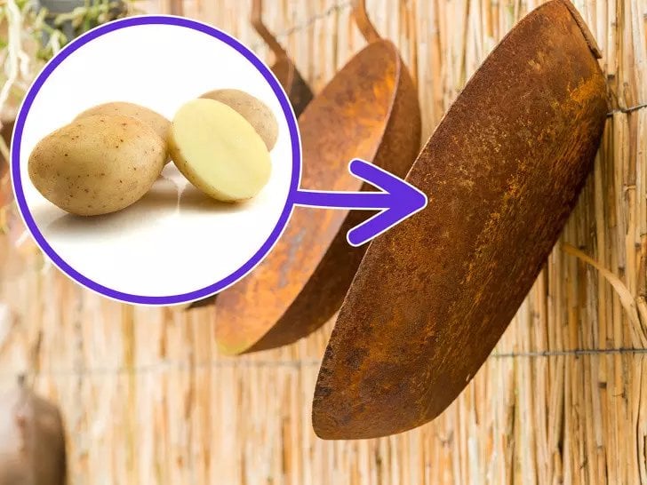 Sıradan 1 Patatesin Çok Az Kişinin Bildiği Kullanımı - 8