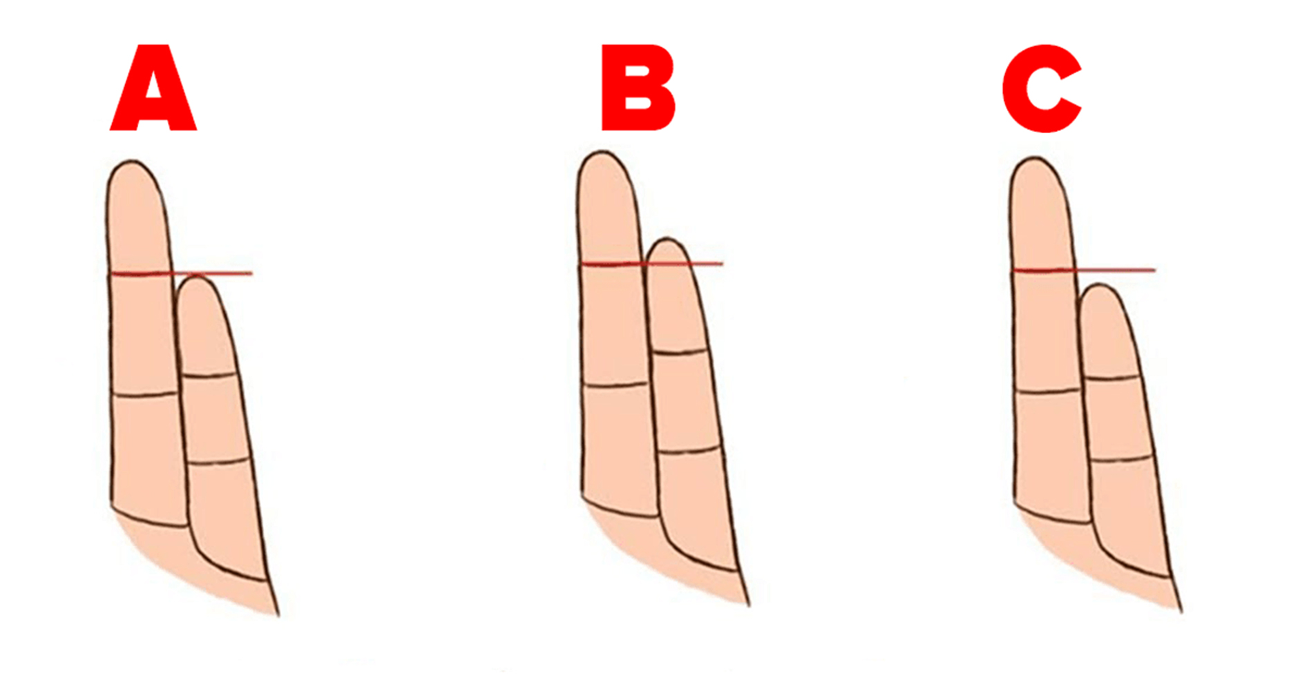 Serçe Parmağınızın Boyundan Kişiliğinizi ve Sağlığınızı Öğrenin  - 2