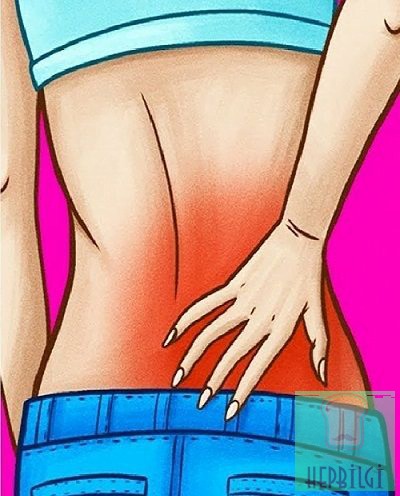 Böbreklerinizin Düzgün Çalışmadığını Gösteren Belirtiler	 - 5