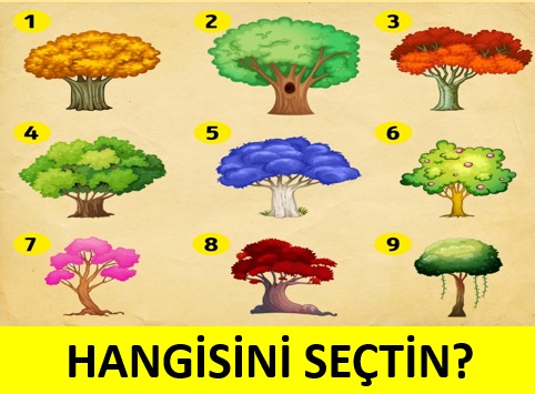 Bu test kendi adınıza yeni şeyler keşfetmenizi sağlayacak - 2